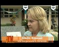 Gladis Knaesel- eine Frau zwischen Mänlichen Macht in Pomerode